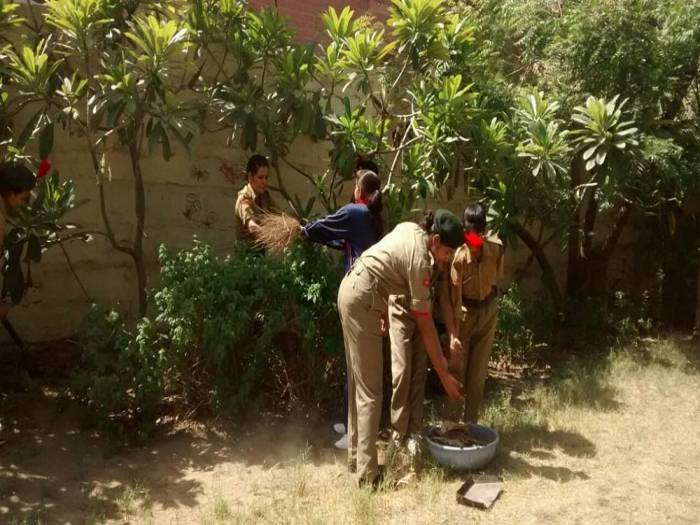 tn_IMG-20150511-WA0019